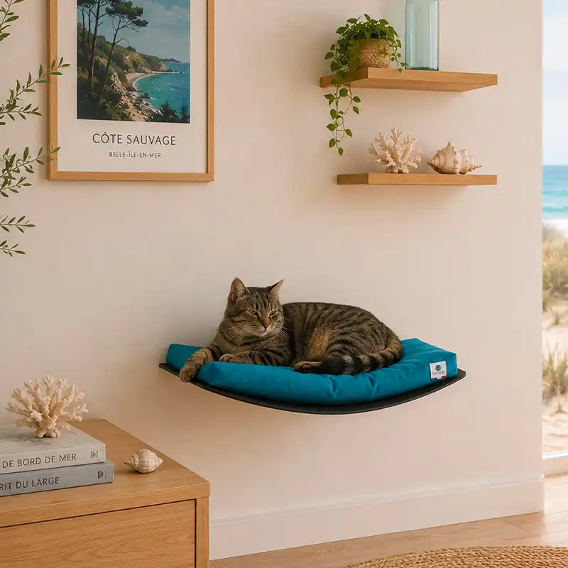Lit mural design pour chat avec coussin bleu canard – Homycat