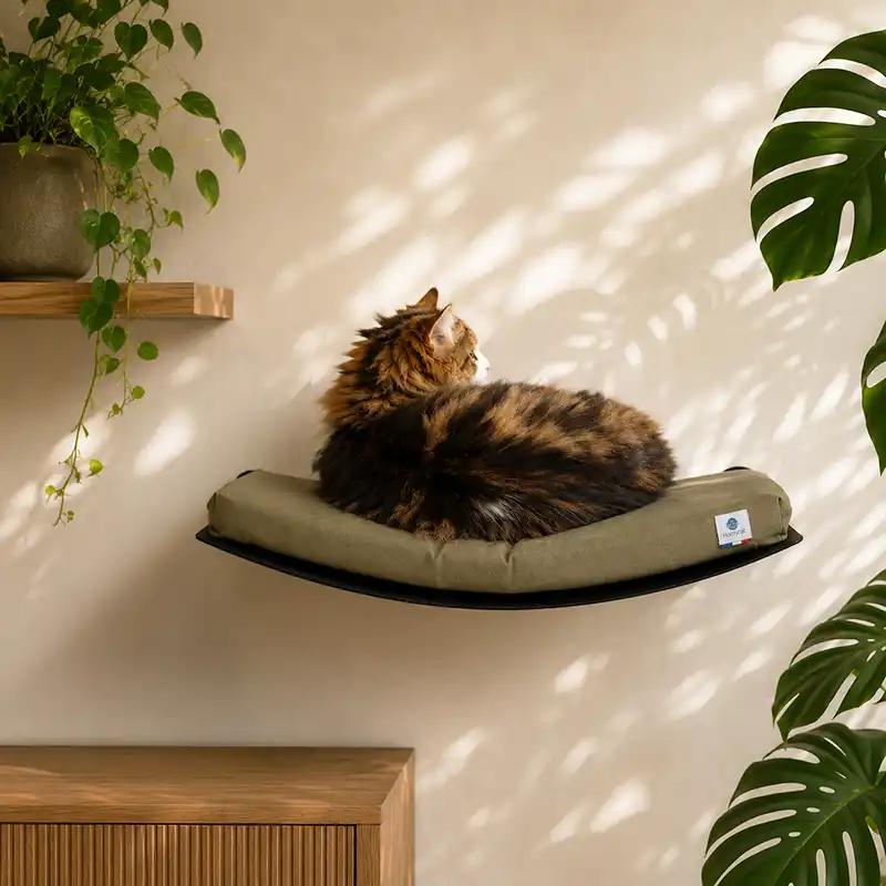 Lit hamac mural design pour chats - matelas vert kaki