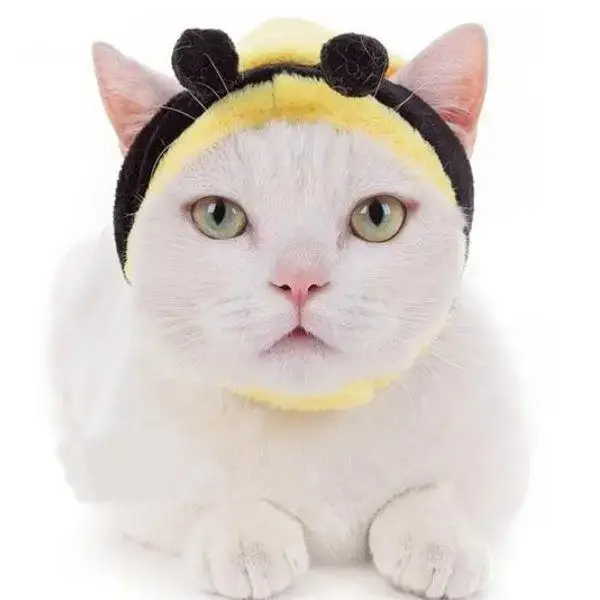 Chapeau pour Chat Design Abeille Confortable