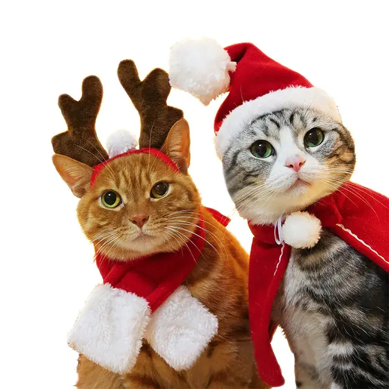 Déguisement de Noël pour Chat - Bonnet et Cape