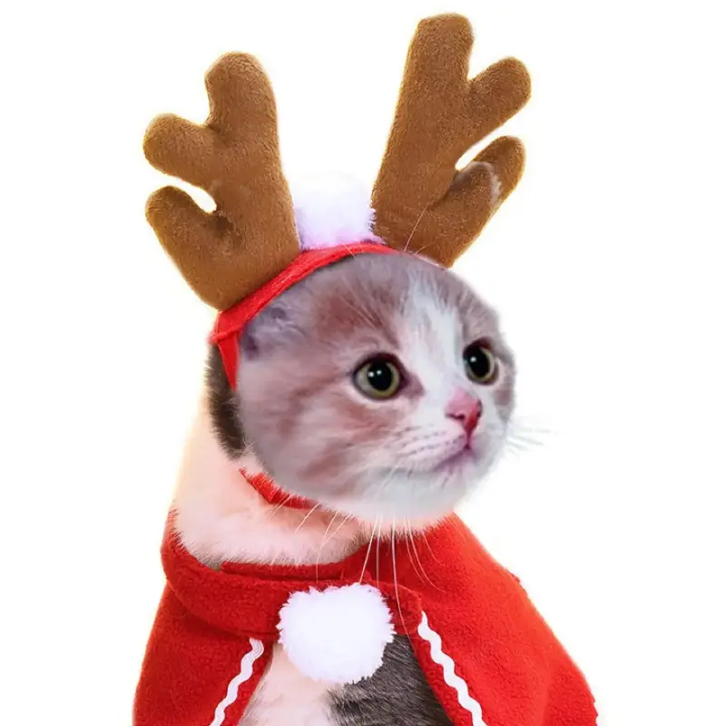 Déguisement de Noël pour Chat - Bonnet et Cape