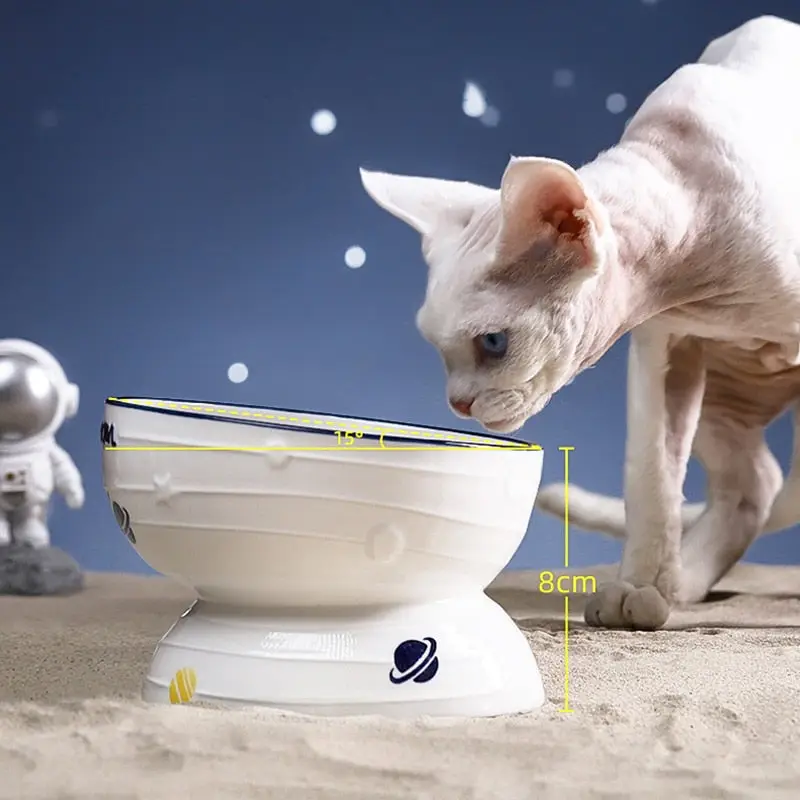 Gamelle Surélevée Chat en Céramique - Protège les Cervicales