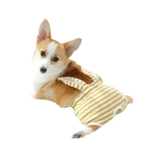 Culotte Hygiénique Chienne Lavable - Coupe Physiologique Anti-glisse