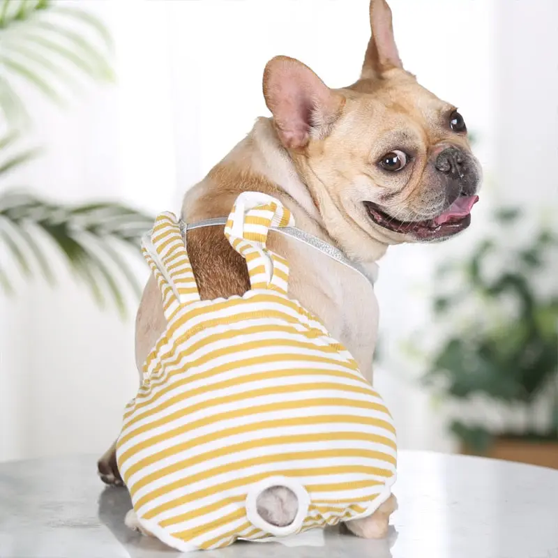 Culotte Hygiénique Chienne Lavable - Coupe Physiologique Anti-glisse