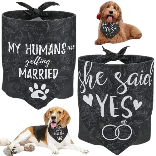 Bandana Chien Mariage - Élégance pour Cérémonies
