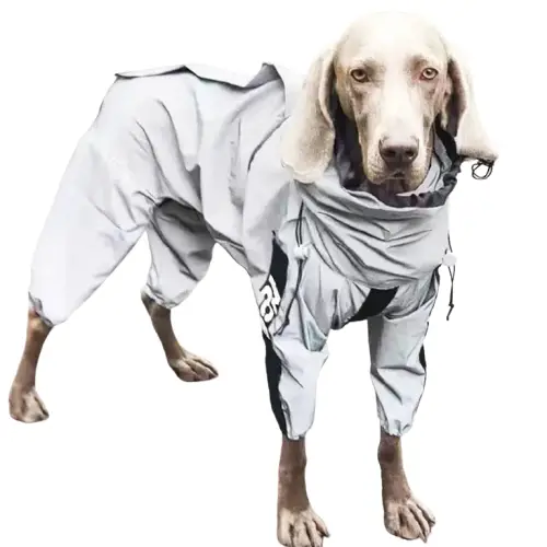 Combinaison Pluie Chien - Protège Corps et Pattes