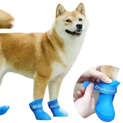 Chaussures Imperméables Chien - Protection des Pattes