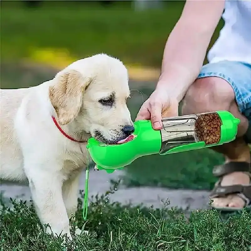 Gourde Chien Chat 3 en 1 - avec Dragonne