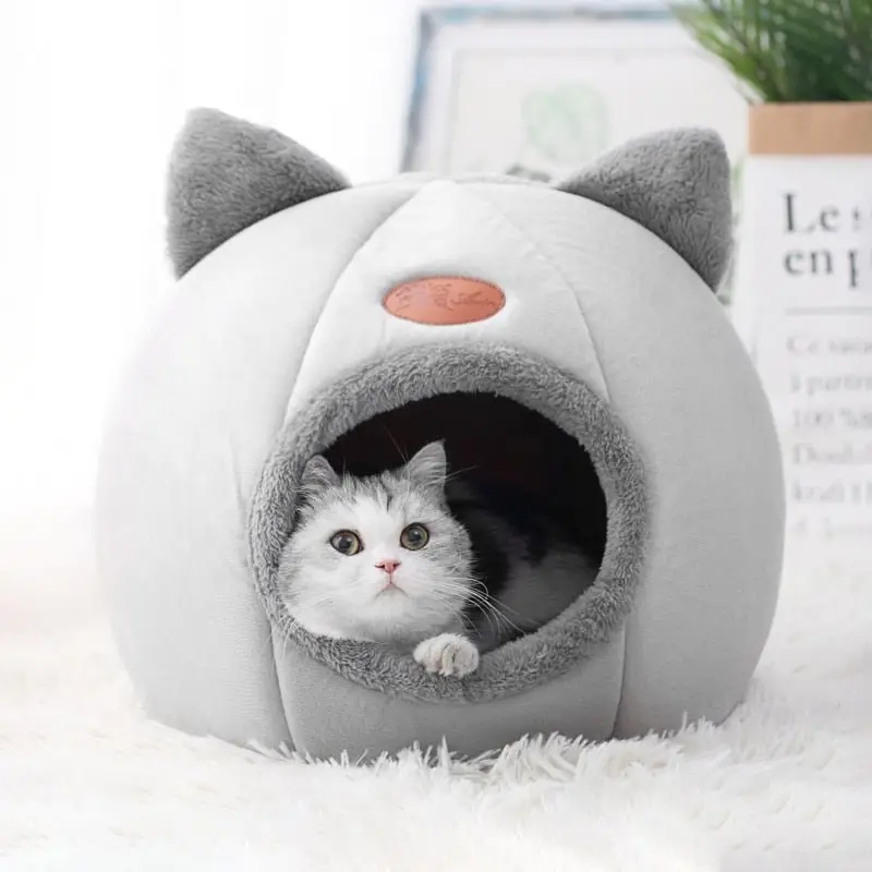 Grotte Chat Douillet - Refuge Confortable