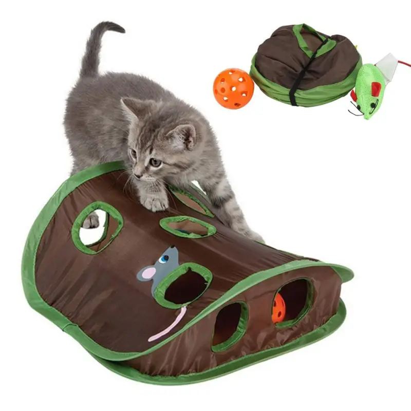Jeu de Chasse Chat - Souris Cachée 9 Trous
