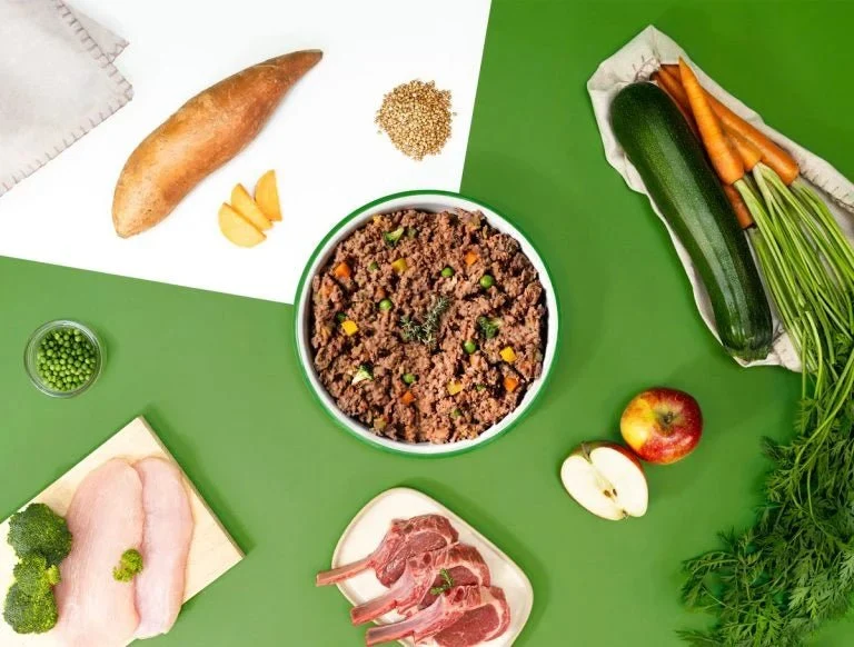 Repas frais pour chien à l'agneau et dinde DOG CHEF 🍖