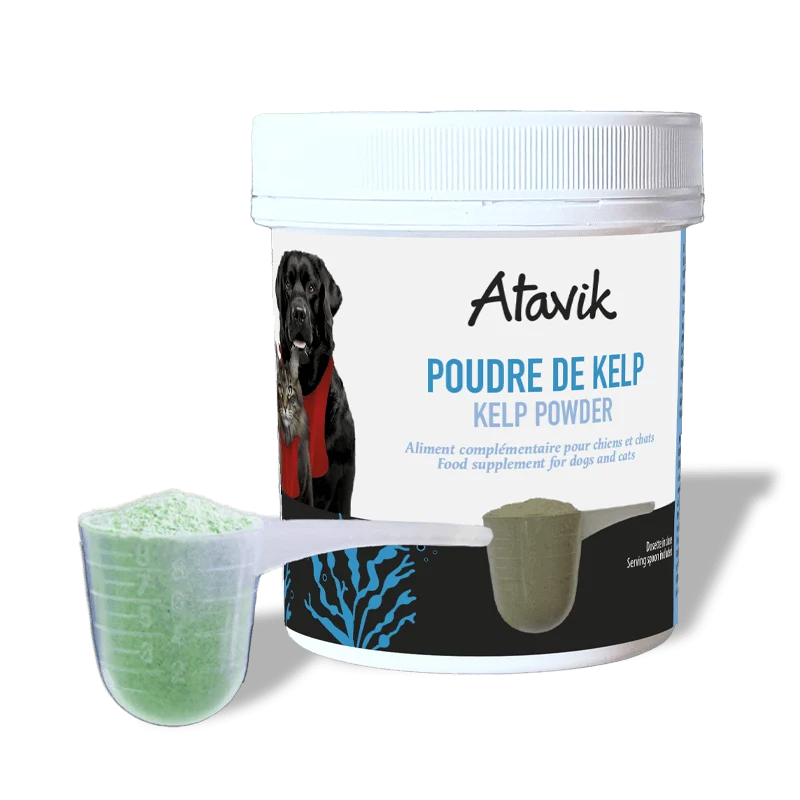 Poudre de kelp pour chien et chat – tartre et haleine fraîche