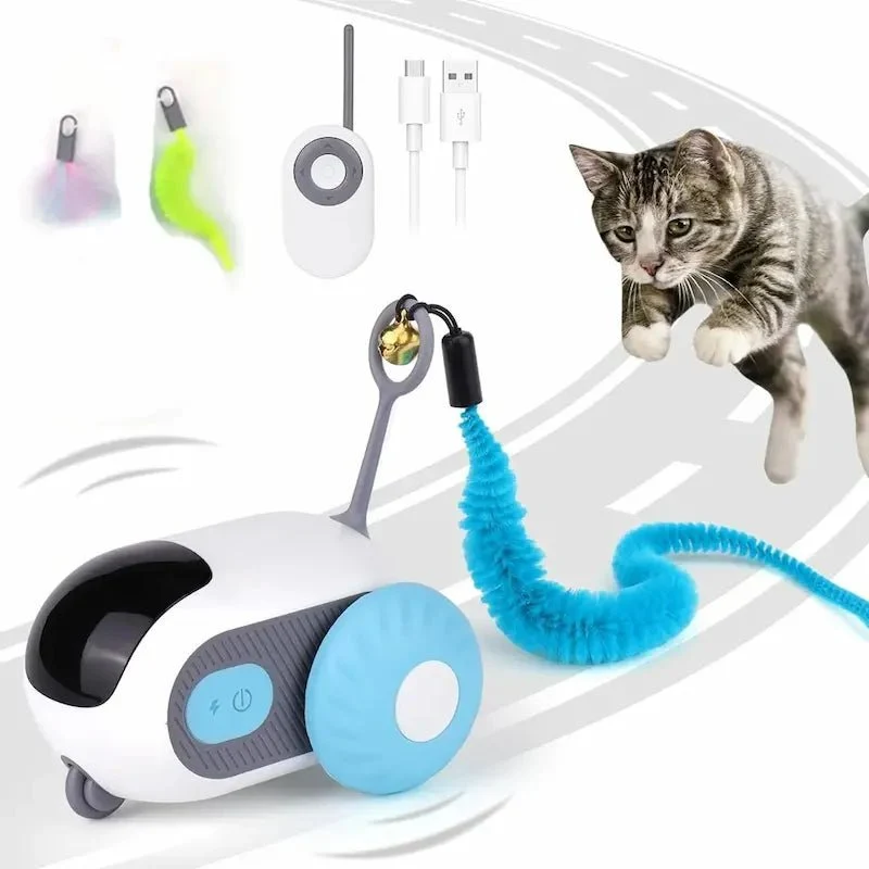 Voiture télécommandée chat - Chasse et rires garantis | MiaouGo