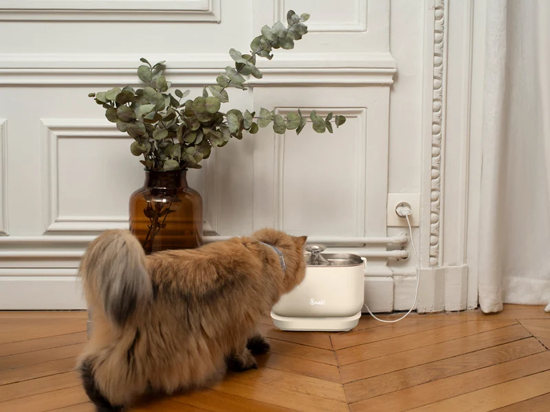 Fontaine à Eau Sans Fil pour Chat et Petit Chien – French Bandit