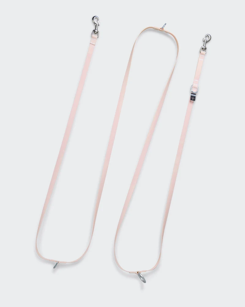 Laisse Fluorescente Lumineuse pour Chien Glow 2.0 – PAIKKA