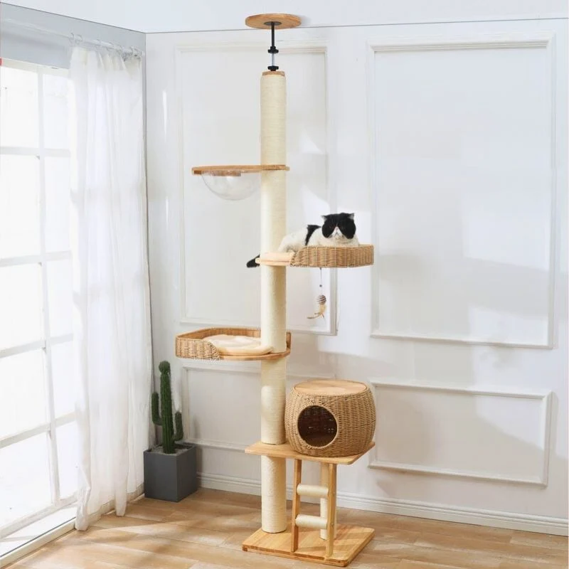 Arbre à chat - Ascenseur Céleste