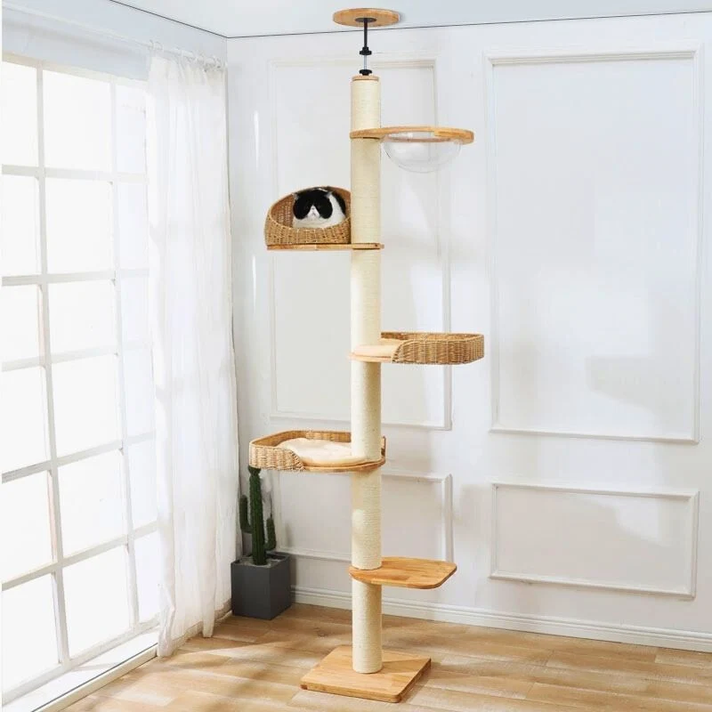 Arbre à chat - Tour Éthérée