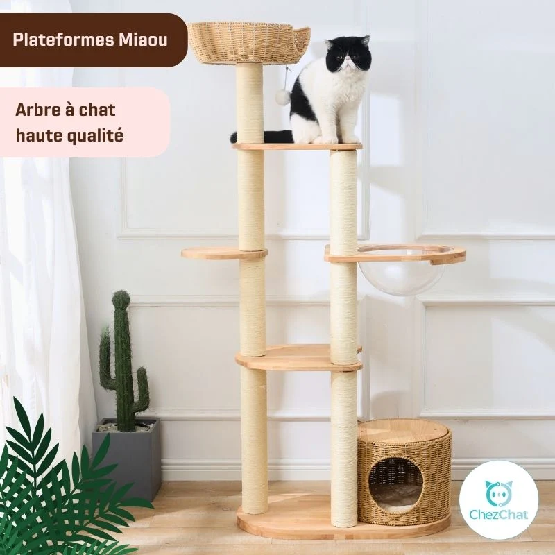 Arbre à chat - Plateformes Miaou