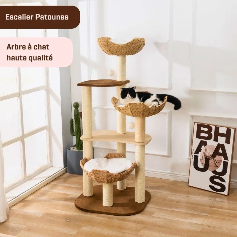 Arbre à chat Escalier Patounes