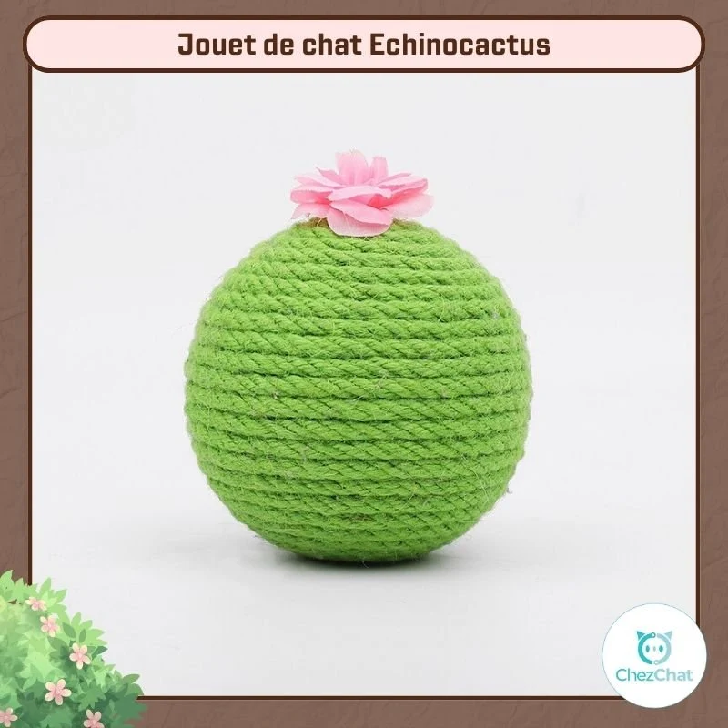 Jouet de chat Echinocactus