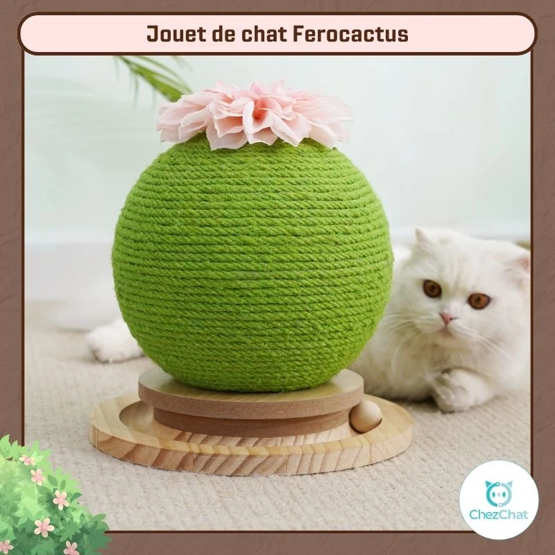 Jouet de chat Ferocactus