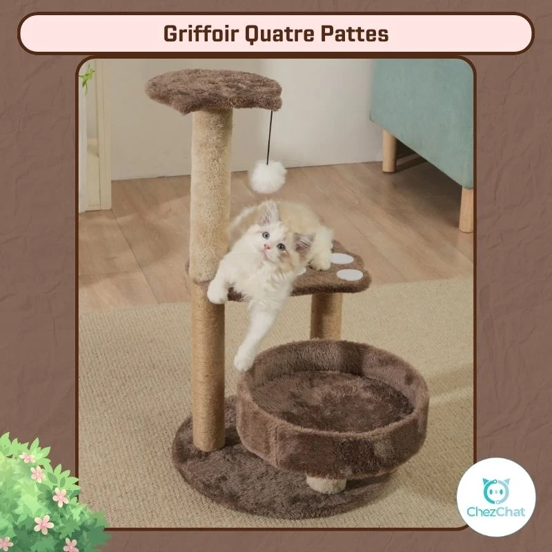 Griffoir Quatre Pattes