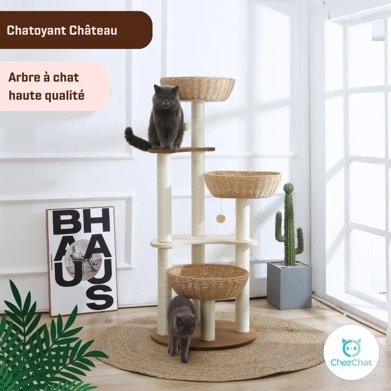 Arbre à Chat - Chatoyant Château