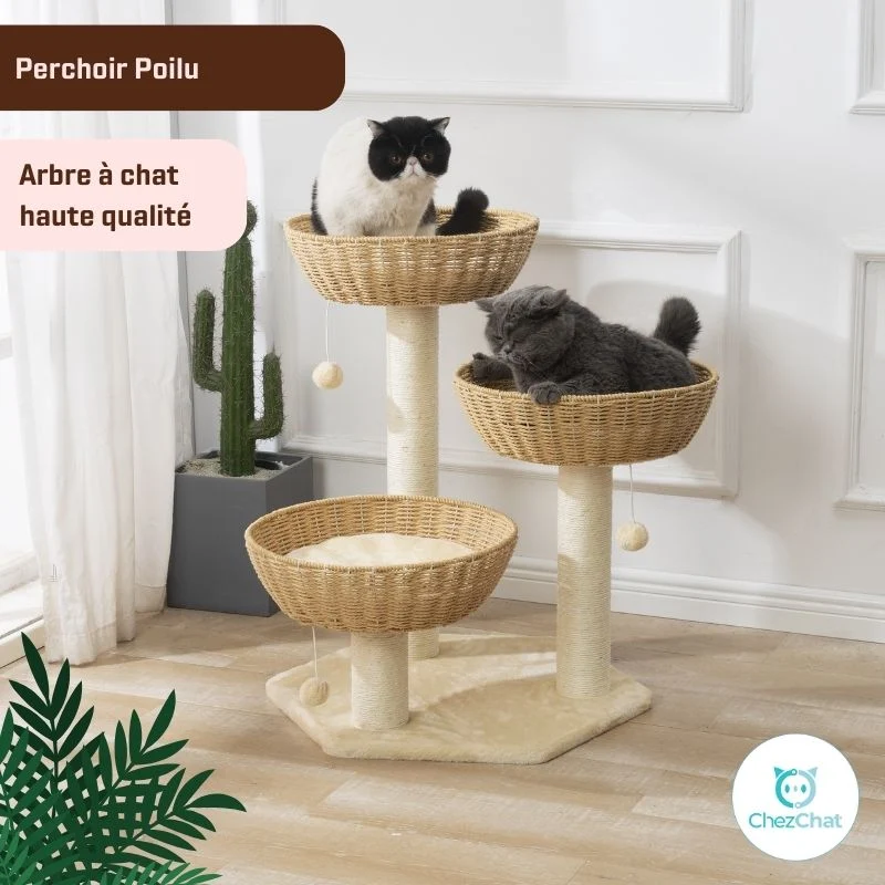 Arbre à Chat - Perchoir Poilu
