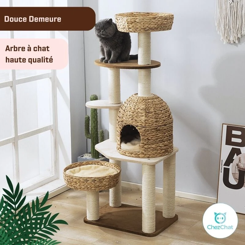Arbre à Chat - Douce Demeure