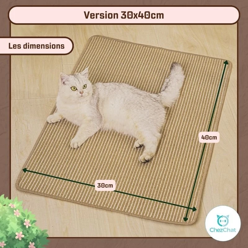 Couchage Tapis Magique