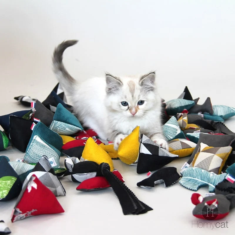 Pack de 4 jouets garnis de cataire au choix