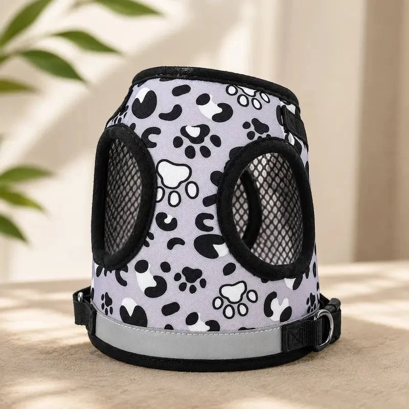 Harnais léopard chat - Sécurité & confort | WildPaws