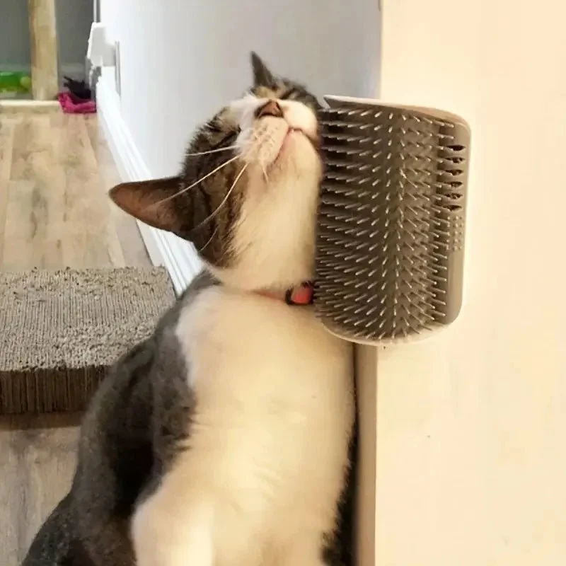 Brosse murale chat - Poils en moins, chat heureux | SelfPurr
