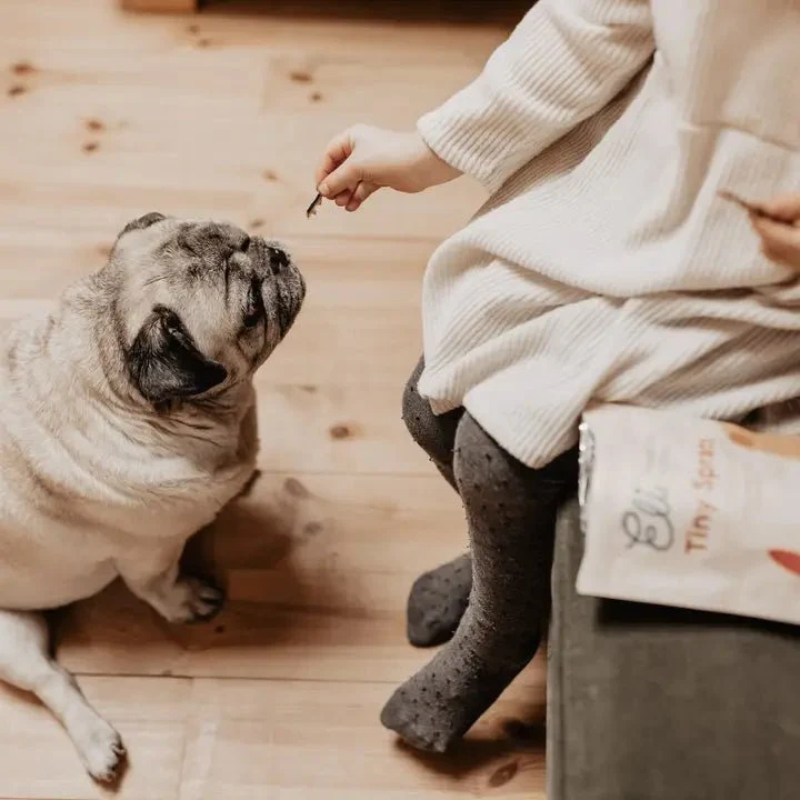 Sprats de la Baltique séchés pour chien et chat Eli 🐟