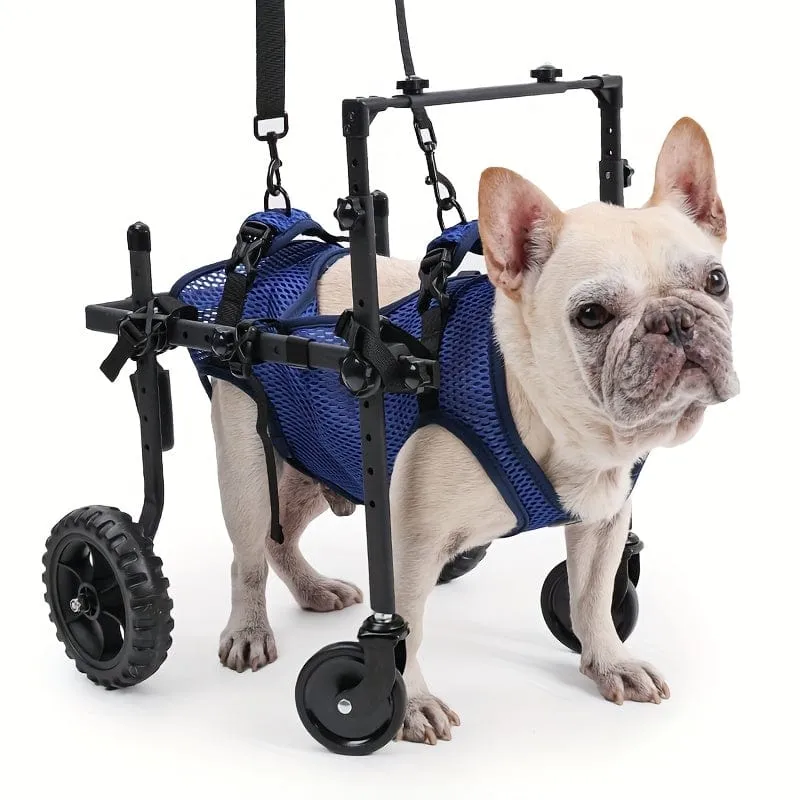 Fauteuil roulant pour chien – mobilité, rééducation et confort