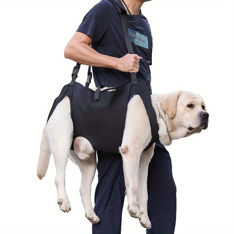 Harnais de soutien pour chien – aide à la marche, rééducation et levage
