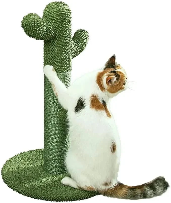Poteau à griffer cactus pour chat – sisal naturel & jouet