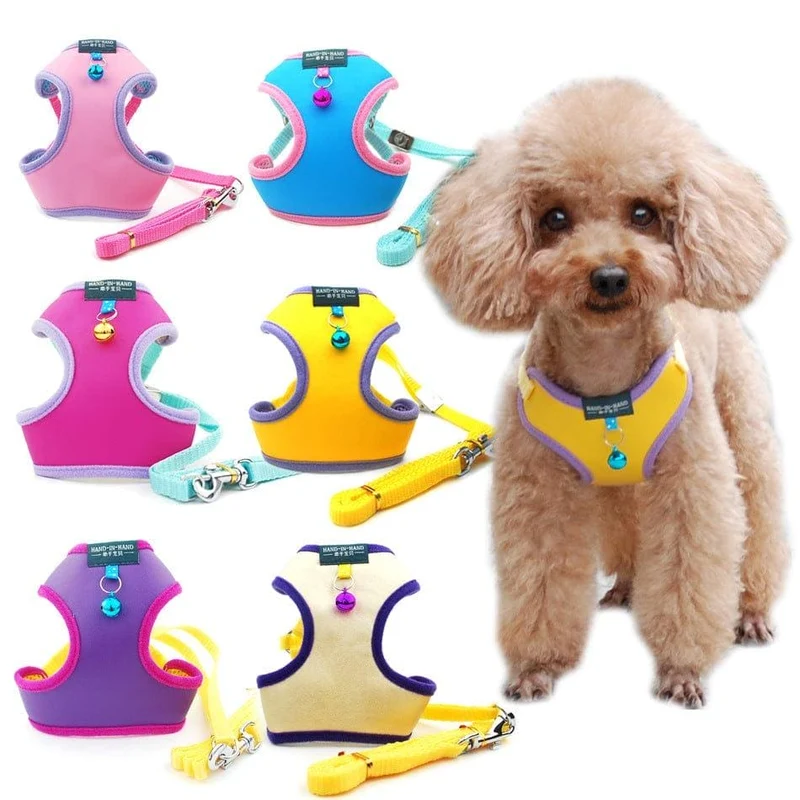 Ensemble harnais et laisse pour chat et petit chien