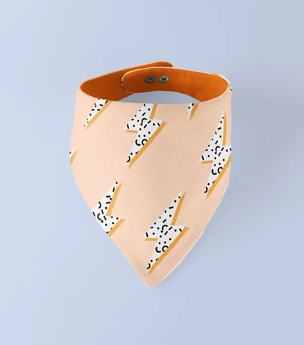 Bandana pour chien réversible Soulmates
