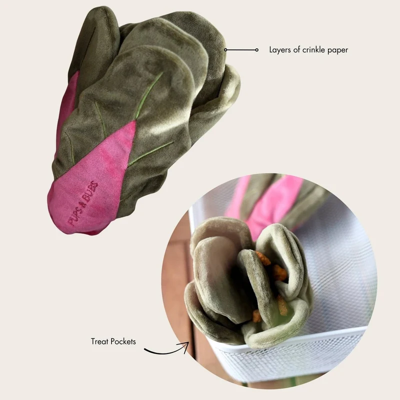 Jouet de fouille pour chien 🥬 Blette – Pups & Bubs