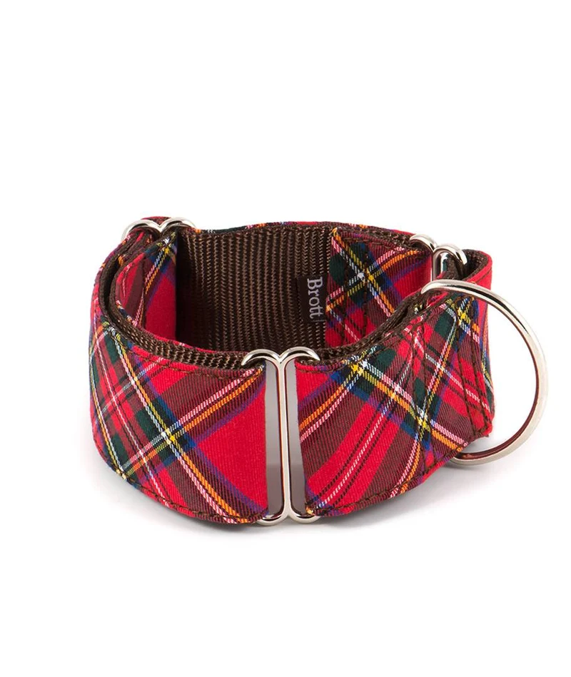Collier martingale lévrier tartan rouge Tremp – Style affirmé
