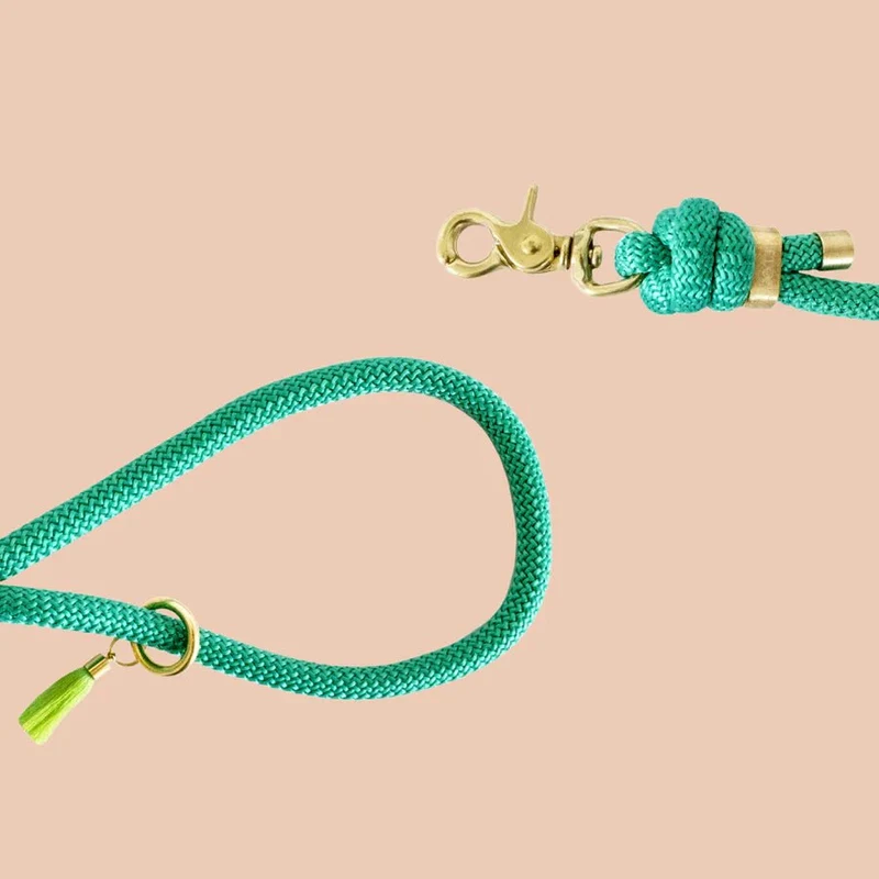 Laisse bandoulière chien corde vert menthe mains libres