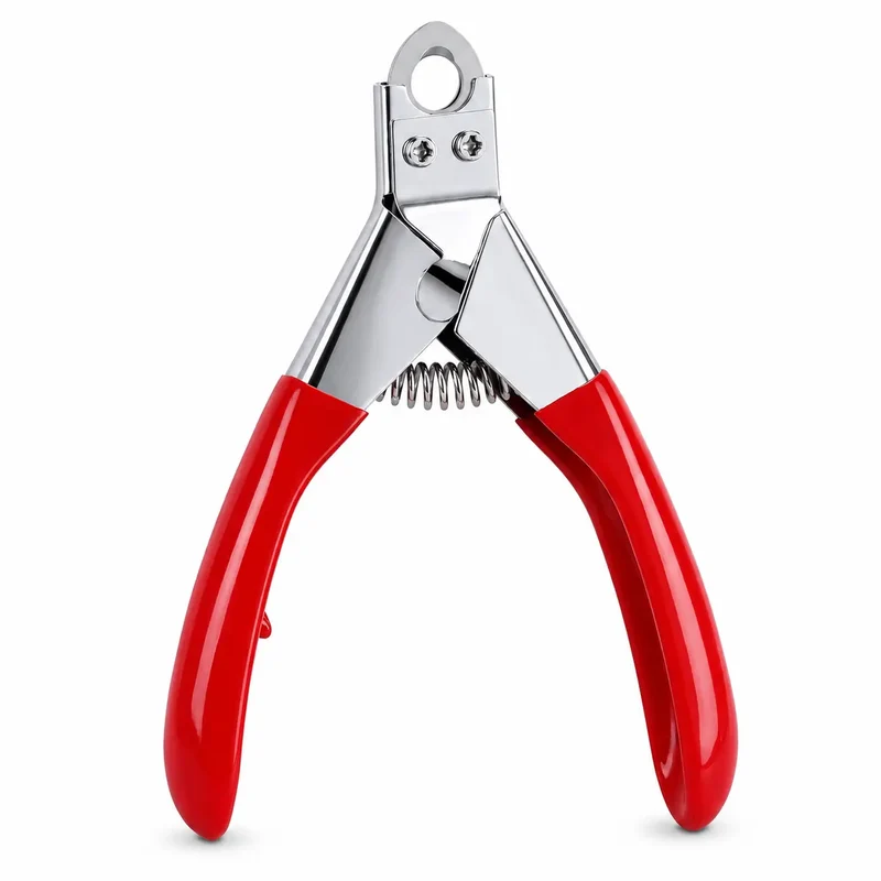 Coupe Griffe Chat Ergonomique en Acier Inoxydable
