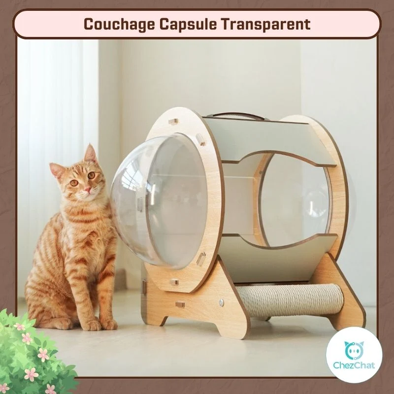 Couchage Capsule Transparent