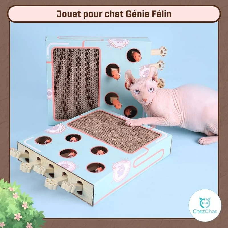 Jouet pour chat Génie Félin