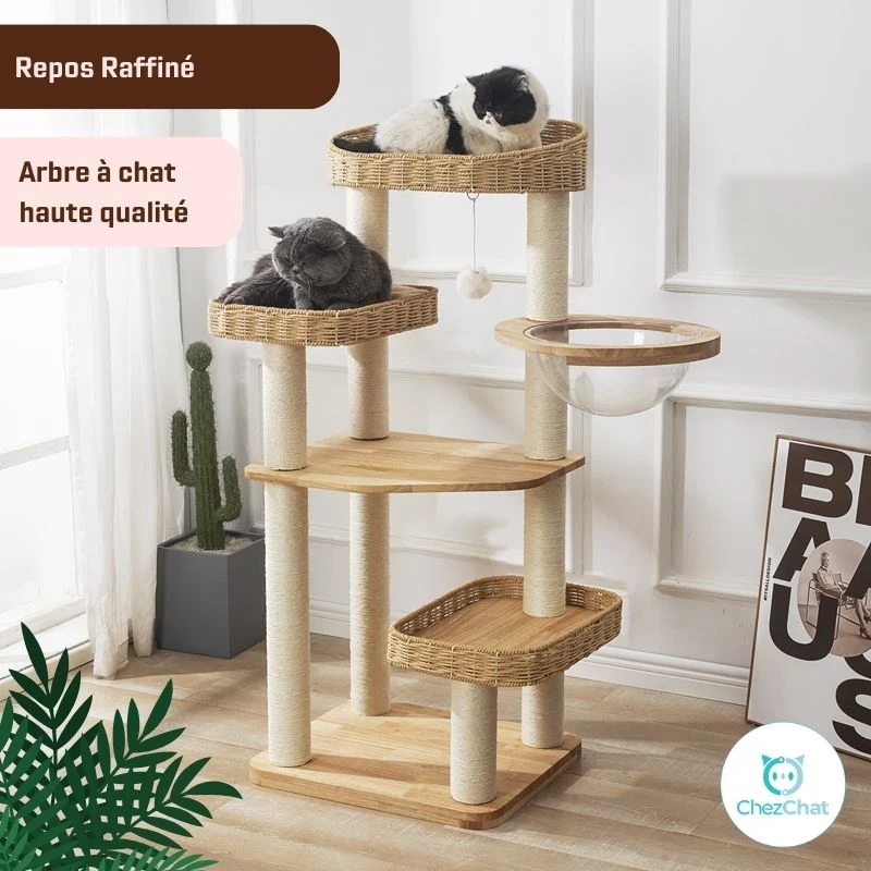 Arbre à Chat - Repos Raffiné