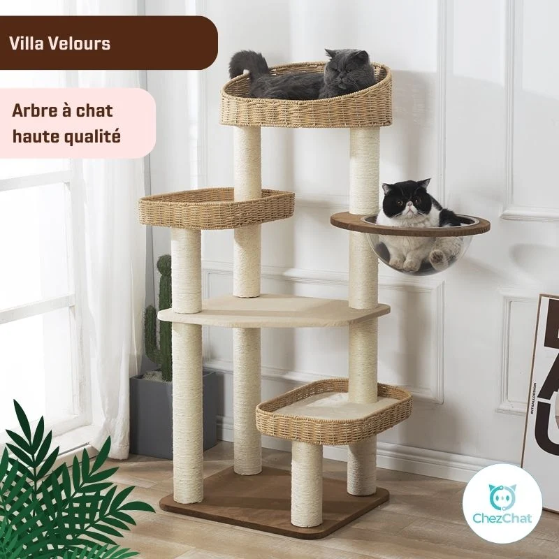 Arbre à Chat - Villa Velours