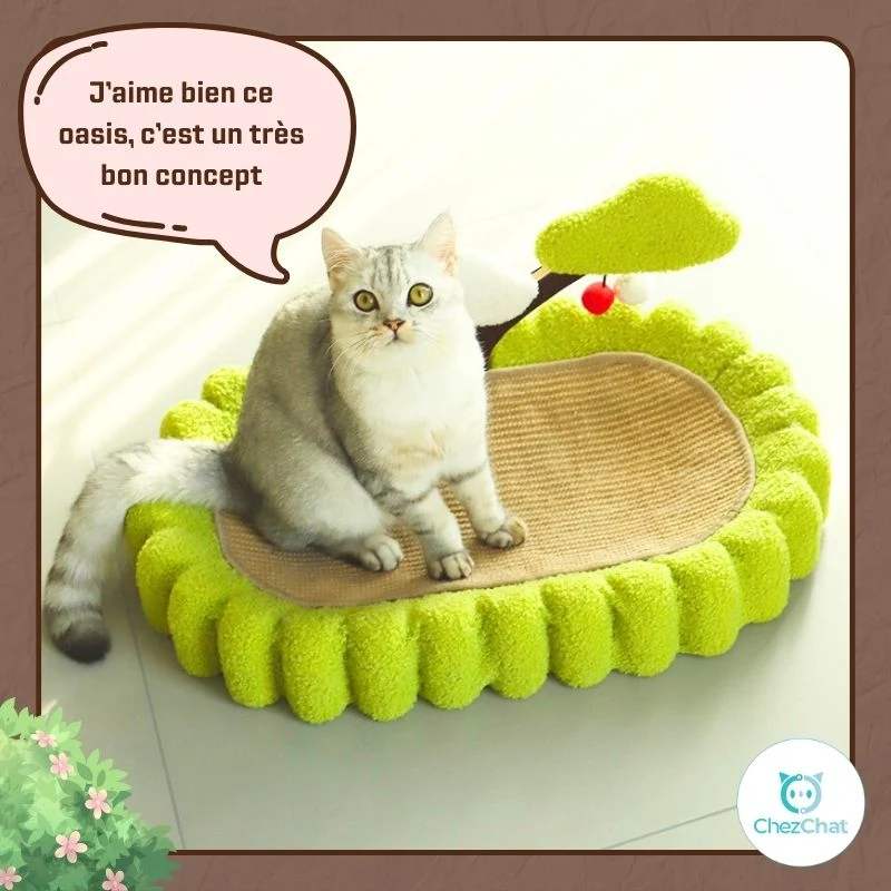 Couchage L'Oasis Vert pour chat