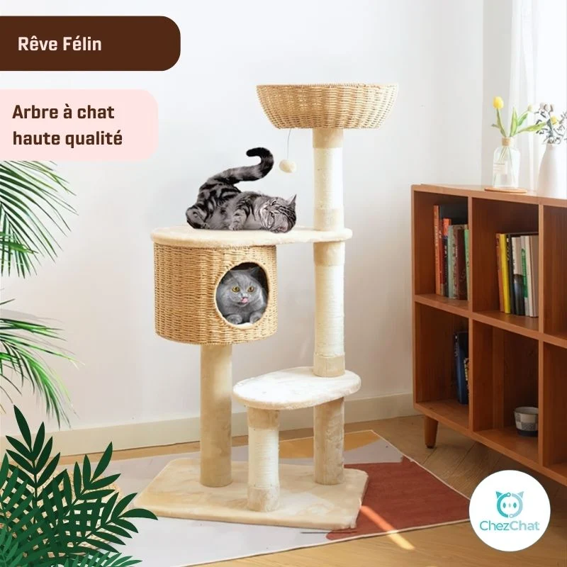 Arbre à Chat - Reve Felin