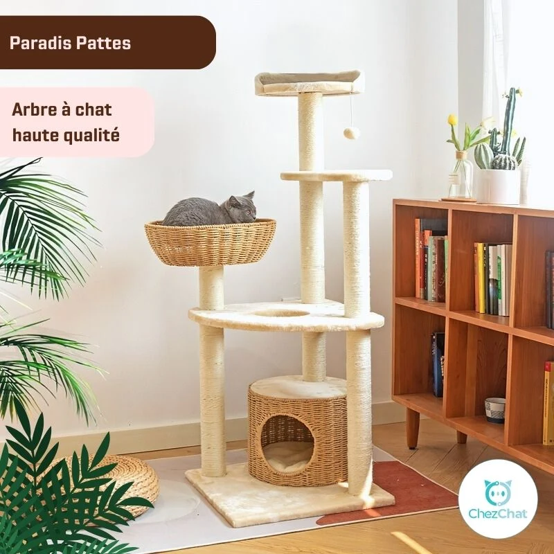 Arbre à Chat - Paradis Pattes